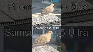 Thumbnail: Samsung vs iPhone Video Zoom Comparison