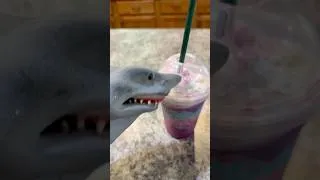 Thumbnail: SHARK PUPPETS UNICORN FRAPPE!