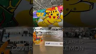 Thumbnail: Japan Released a PIKACHU PLANE! 😍✈️