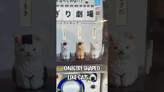 Thumbnail: The Cutest CAT Capsule Toy 🥹🍙✨