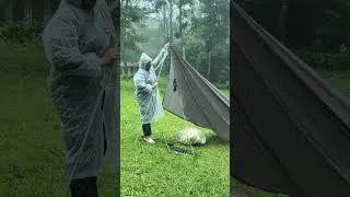 Thumbnail: ⛈️ SPECTACULAR HEAVY RAIN‼️