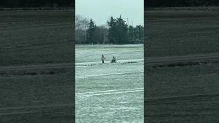 Thumbnail: Life these Days #shortsfeed #snow #shorts #shortvideo #trending #viralvideo