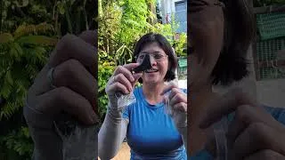 Thumbnail: Before You Start Nordic Walking… Watch This About the Boots!