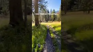 Thumbnail: Some Trails Just Seem Perfect 👌 #hiking