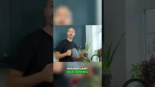 Thumbnail: Drown Your Aloe For Better Growth