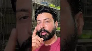 Thumbnail: How to Start Birds Business at Home || Birds Business Idea