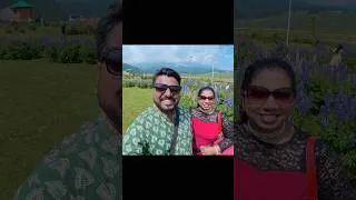 Thumbnail: പൂക്കളുടെ താഴ്വര കശ്മീരിലെ ഗുൽമാർഗ്