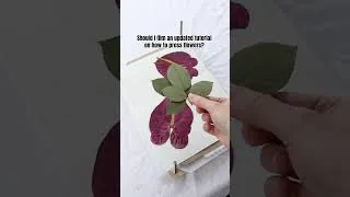 Thumbnail: New Pressed flowers technique results
