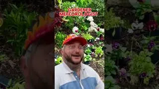 Thumbnail: We gardeners know the weather! #shesamadgardener #garden #gardening