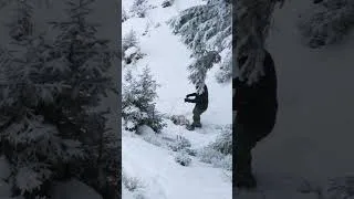 Thumbnail: collecting firewood for the stove on a cold winter nightcollecting firewood for the stove on a cold
