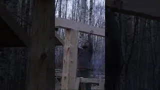 Thumbnail: hewn log workshop is finished with axe #log #workshop #handmade