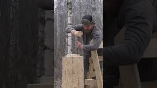 Thumbnail: build traditional hewn workshop #logcabin #wilderness #woodworking
