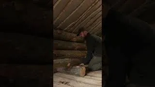 Thumbnail: build adanboned bushcraft log cabin  #abandoned #bushcraft #survival