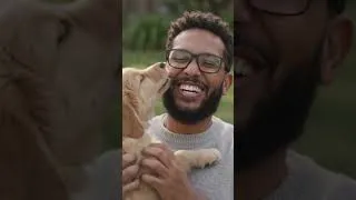 Thumbnail: Man Gets Tackled by Golden Retriever Puppy #puppy #dog #goldenretriever
