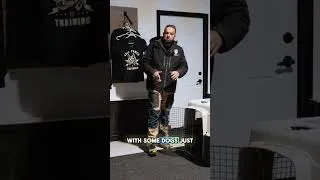 Thumbnail: Is your dog scared to go in the crate?
