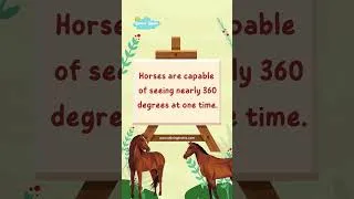 Thumbnail: Fun Facts for Kids Part 2 | Shiningbrains