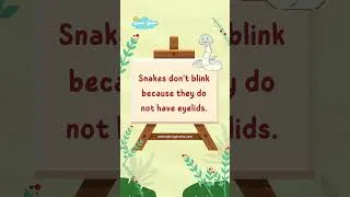 Thumbnail: Fun Facts for Kids Part 1 | Shiningbrains