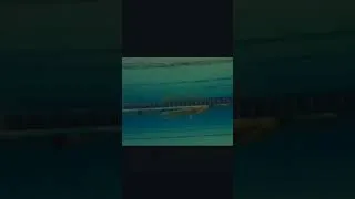 Thumbnail: Ceccon's Swim in a training session (UW Side View)