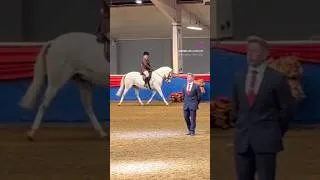 Thumbnail: Just the best boy giving me another lovely ride round our favourite arena ❤️ #showing #showhorse