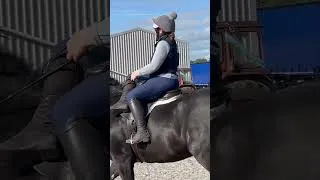 Thumbnail: It’s so hard to look elegant. #sidesaddle #equestrianjourney #equestrian #showhorse #horsegirl