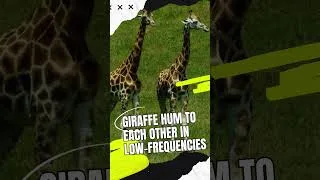 Thumbnail: Weird Fun Facts #funfacts101