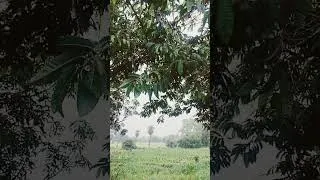 Thumbnail: 🌍 Save Nature, Save Life 🌿प्रकृति हमारी सबसे बड़ी संपत्ति है। ।