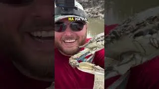 Thumbnail: Is Crabbing Better in Maryland or Down South?