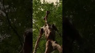 Thumbnail: Climbing a tree to escape from Siren Head #horror