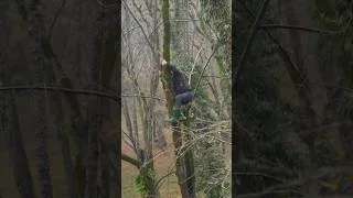 Thumbnail: Climbing jungle trees to find food for the cows #shorts #villagelife #rurallife