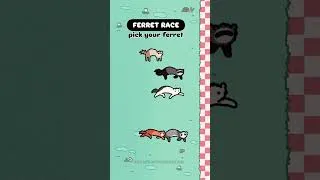 Thumbnail: FERRET RACE 2! Did your pick win? Did it at least get to the finish line? 🤭