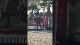 Thumbnail: ❤️❤️⭐️ #jesuslovesyou #horse #equestrianjourney #horseenthusiast #equestrian #horsefan