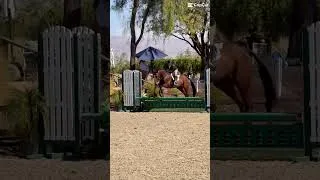Thumbnail: #jesuslovesyou #horse #equestrianjourney #horseenthusiast
