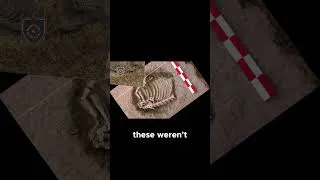 Thumbnail: The Untold Horror  Mass Graves and Evidence o