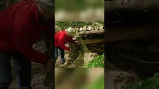 Thumbnail: Shelter taking shape #Bushcraft #WildernessSurvival #PrimitiveShelter #OutdoorLife #NatureSkills