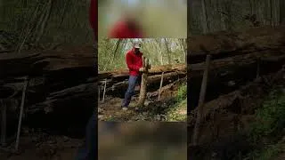 Thumbnail: Building the shelter  #bushcraft #survival #outdoorlife #outdoorwork #creativesurvival #wilderness
