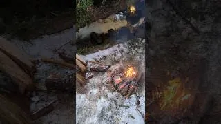 Thumbnail: A hidden survival shelter, a basic bed, and a small fire🔥 #bushcraft #survival #wintercamping #alone