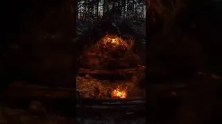 Thumbnail: Building A Winter Survival Shelter In The Wilderness🔥#bushcraft #fyp #survival