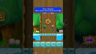Thumbnail: Most relaxing New Super Mario Bros Level?😴😌✨🎧 #shorts