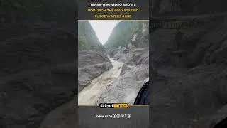 Thumbnail: Death toll nears 600 in Nepal flash floods; terrifying video shows how high the floodwaters rose
