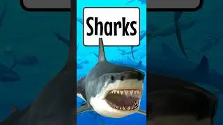 Thumbnail: Shark Facts for Kids 🦈 | Amazing Sharks in 60 Seconds! | Educational Video Shorts