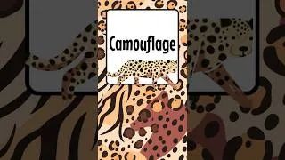 Thumbnail: 60 Seconds of Wow | Camouflage: How Animals Hide in Plain Sight #sillyschooleducation  #kidslearning