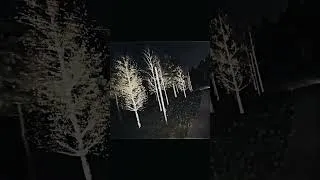 Thumbnail: Magical night or...