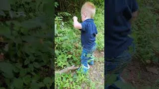 Thumbnail: Wineberry & Raspberry Picking With Kids