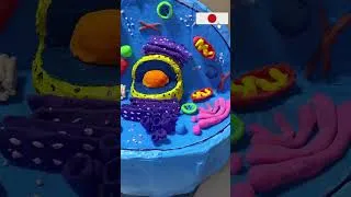 Thumbnail: DIY Animal Cell 3D Model | School Project #animalcell #diy #model #craft #artandcraft