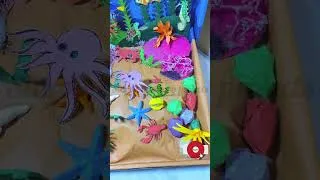 Thumbnail: Sea Habitat Model | Ocean Diorama #diy #oceandiorama #craft #oceanmodel  #marineworld