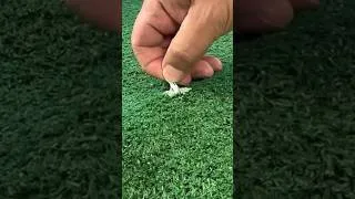 Thumbnail: This will get gum out of anything!!
