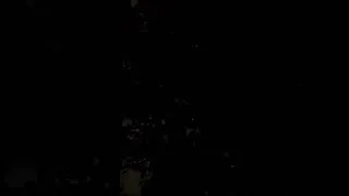 Thumbnail: Fireflies @ Rajgadh (Juganoo /kajve)