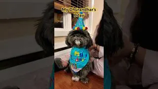 Thumbnail: My Son's Bday #minivlog #simplelivingwisethinking