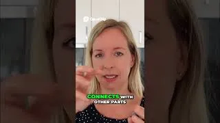 Thumbnail: Create a Meal Planning System That Works & Unlock Energy