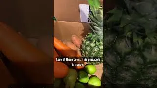 Thumbnail: First Delivery of Odd Bunch